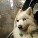 둔산로73번길 | 빵 없는 대전 여행기🎂🥐🍰