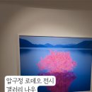 나우로데오 네이버블로그