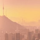 성수 숲속 피부과 동물병원 이미지