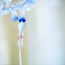 올벗이비인후과의원 이미지