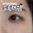 소솜래쉬 네이버블로그