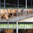 권익축산 이미지