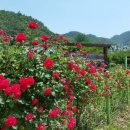 산막골 농장 이미지