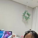 성황태권도장 이미지