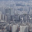 옥션부동산중개사무소 이미지