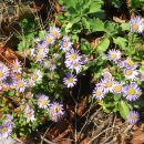 심곡철물 이미지