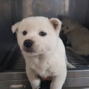 전주완산초등학교 이미지