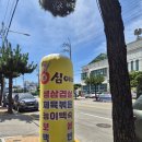 영심이네 | 속초 백반맛있는집 '영심이네식당' 직접다녀온 후기