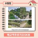 황금플러스공인중개사사무소 이미지