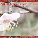 발랑낚시터 이미지