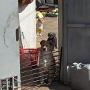 제주궁전 | 제주궁전고고띵...🚶🏻‍♀️🚶🏻