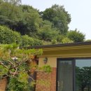 판교정원공인중개사사무소 이미지