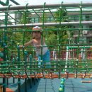 구로리공원 이미지