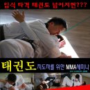 일어서는 법을 배워보자 태권도 mma세미나 2014 이미지