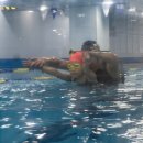 아이엠 키즈 스윔스쿨 이미지