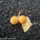 보은카센타 이미지