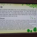 저지오름 Daum카페