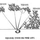 대물낚시 포인트 선정법 이미지