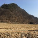 남이면사무소 이미지