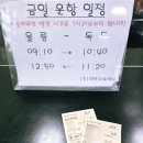 울릉도 독도여행 배편 비용 준비물 멀미약 이용팁