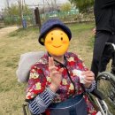 의왕요양원🌺&#34;어르신들과 함께 나들이&#34; 재활전문요양원, 우리함께요양원 의왕점