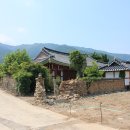 보성백록다원 이미지