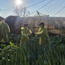 나눔장애인자립생활센터 이미지