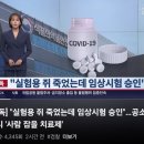 실험용쥐 죽었는데 임상실험승인 공소장보니 사람잡을치료제 이미지