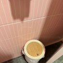 스테이874 이미지