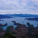 게으른 악어 이미지