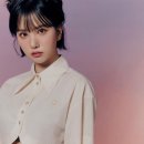 비비즈