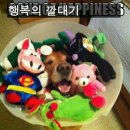 강아지이야기 이미지