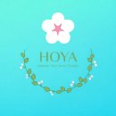 카페호야# 이미지