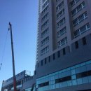 거창-주상-1 이미지