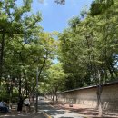 네이처컬렉션경북울진점 | [서울시립미술관] 유영국 ‘산은 내 안에 있다’ 전시회 후기