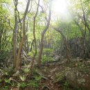 문동휴양지 이미지