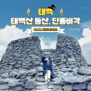 재난CCTV1(금석천) | 영월 단종 태백산 등산코스 시간 단종비각 천제단 CCTV 날씨