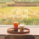사등농협주유소 | 거제 사등 성포 신상 카페 시아시아, 착한 가격 논뷰 맛집