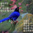 예사랑피부과 | 예사랑피부과의원 체험 후기
