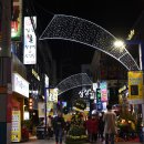 마산가고파 국화축제장 이미지