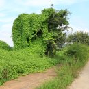 행주IC체육시설 | 서울 한강 당산역~양화대교~성산대교~월드컵대교~가양대교~방화대교~행주대교~김포대교~김포고촌역 종주