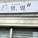 멍멍샵 네이버블로그