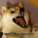 테이스티곱창 - 양산시 야리4길 13 | 테이스티곱창