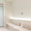 화이트동물메디컬센터 이미지