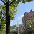 남산골 | [서울 무료 데이트] 충무로 남산골 한옥마을 솔직 후기 | 고즈넉한 산책과 감성 인생샷 코스