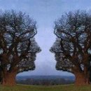 길손과 풀꽃 이미지