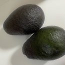 호진E(구 호진3) | 환경 오염 뉴스❓건강에 좋은 음식 아보카도 양날의 이슈 식재료 건강식 효능, 세척법, 활용법