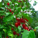 형대카센터 이미지