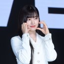 셀럽다이브