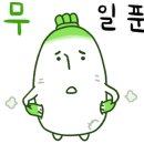 스타인력 이미지